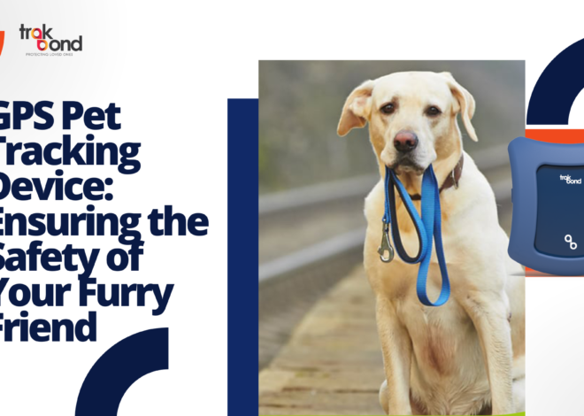GPS Pet Tracking Device: Ensuring the Safety of Your Furry Friend