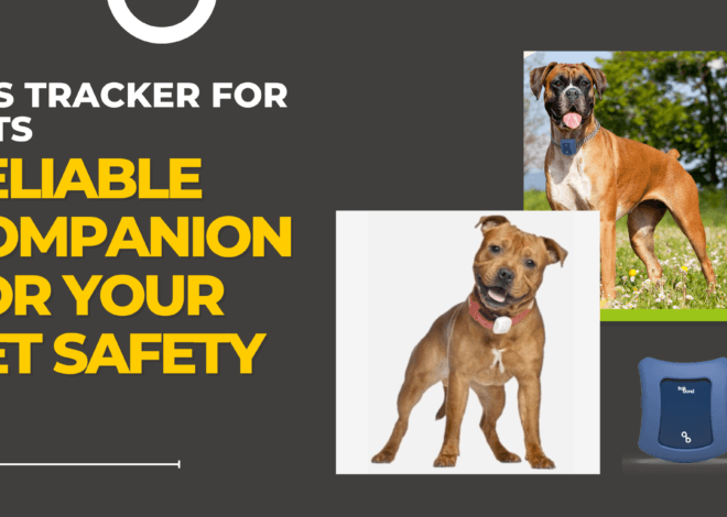 GPS Tracker for Pets: Reliable Companion for Your Pet Safety by Trakbond