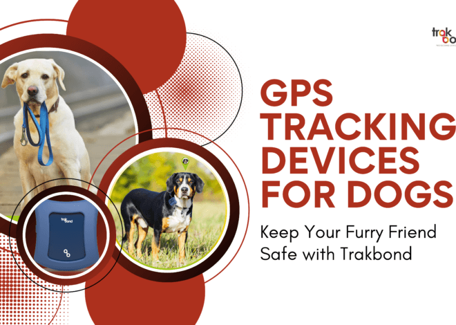 GPS Tracking Devices for Dogs: Keep Your Furry Friend Safe with Trakbond