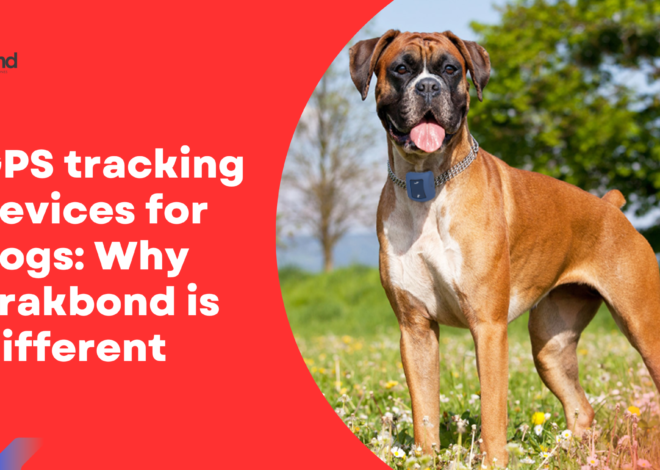 GPS tracking devices for dogs: Why Trakbond is Different