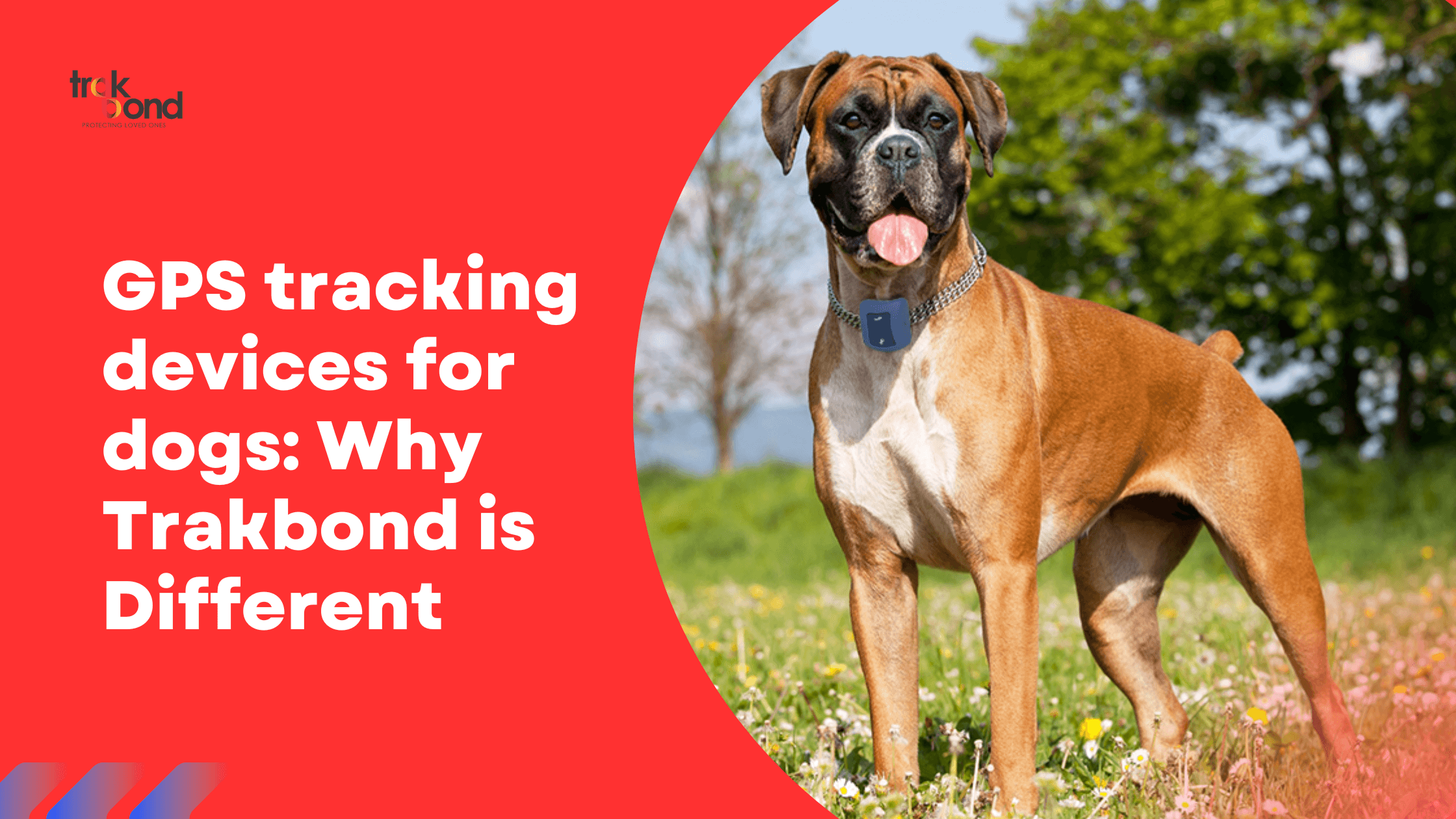 GPS tracking devices for dogs: Why Trakbond is Different