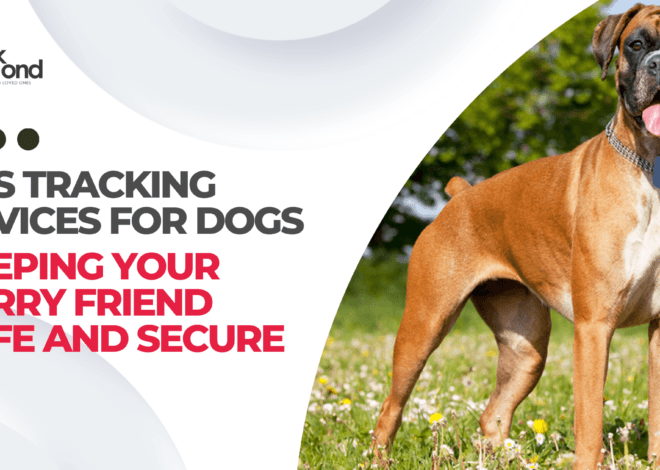 GPS Tracking Devices for Dogs: Keeping Your Furry Friend Safe and Secure