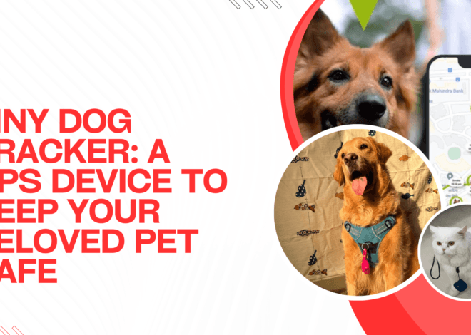 Tiny Dog Tracker: A GPS Device to Keep Your Beloved Pet Safe