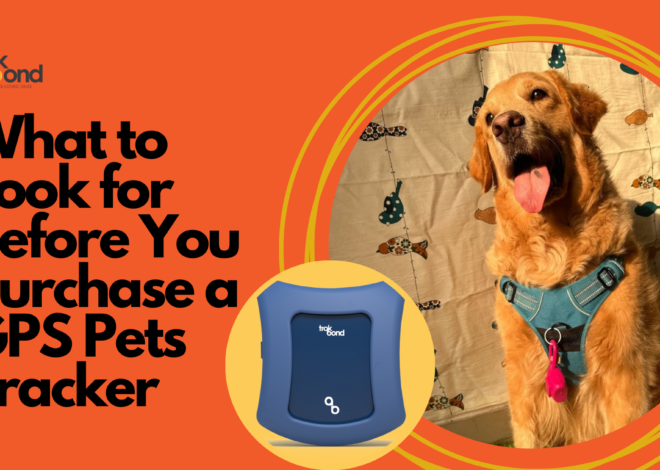 What to Look for Before You Purchase a GPS Pets Tracker