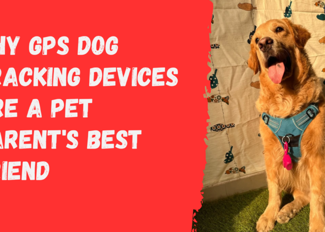 Why GPS Dog Tracking Devices Are a Pet Parent’s Best Friend