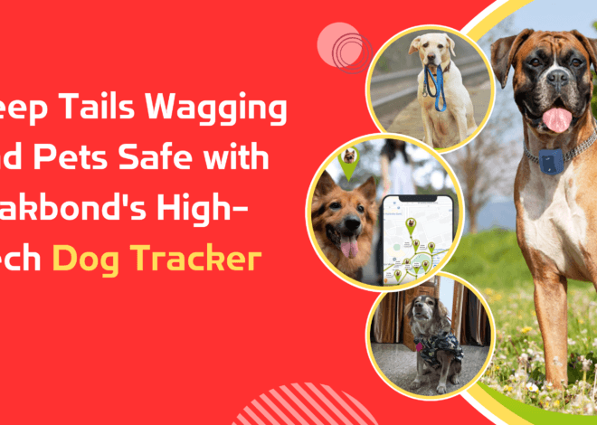 Keep Tails Wagging and Pets Safe with Trakbond’s High-Tech Dog Tracker