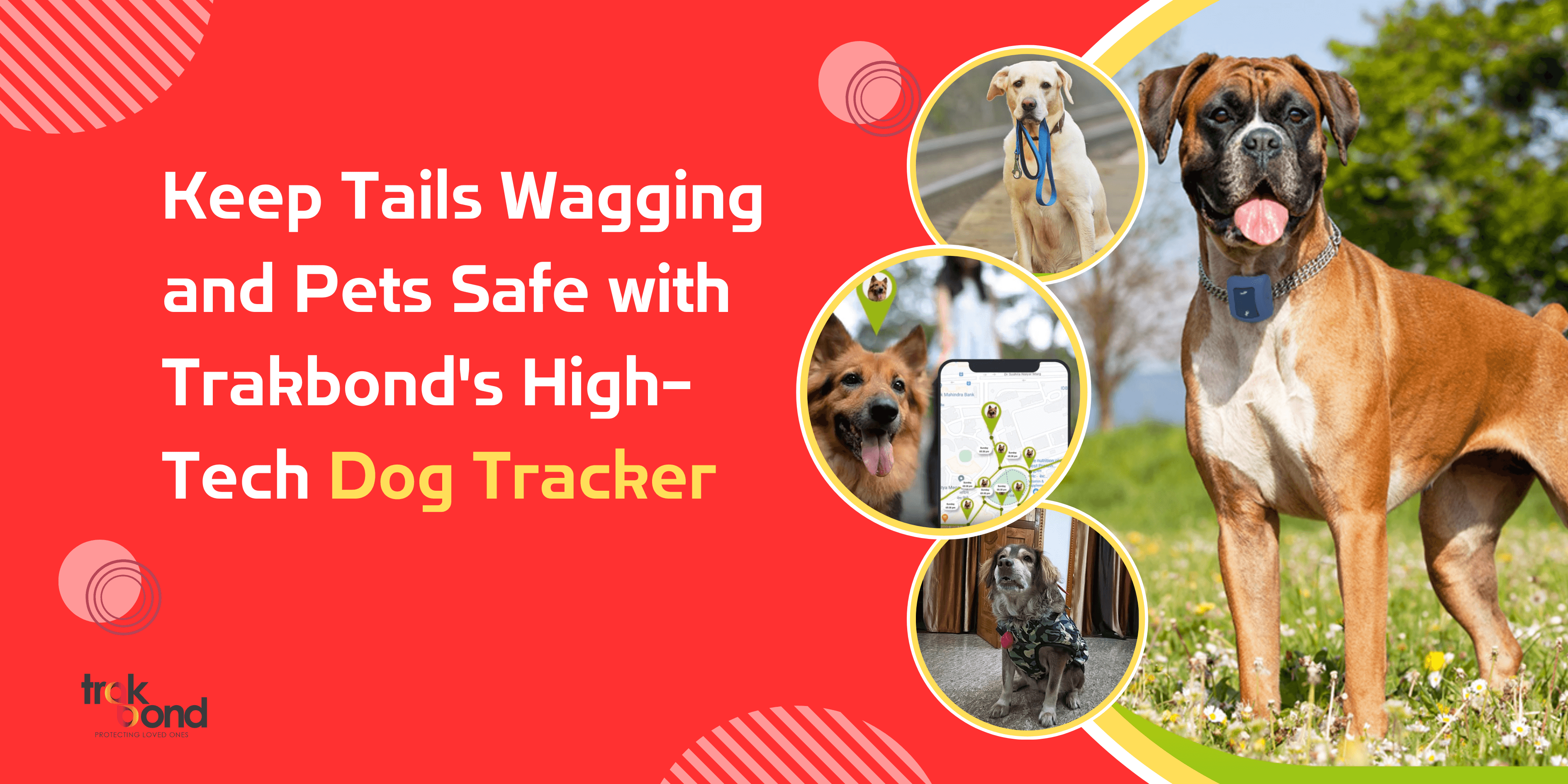 Keep Tails Wagging and Pets Safe with Trakbond’s High-Tech Dog Tracker