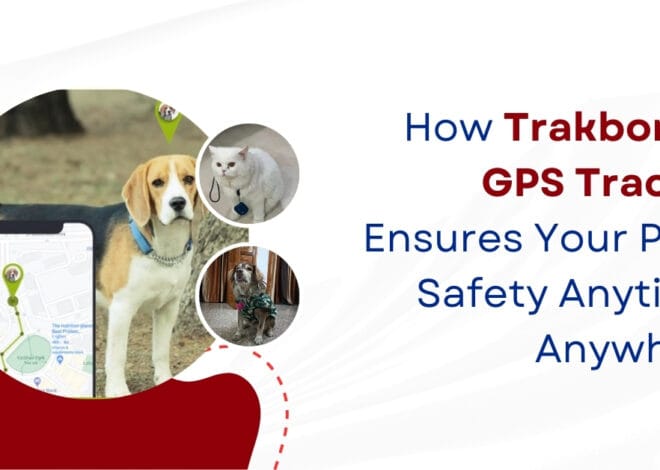 How Trakbond’s GPS Tracker Ensures Your Pet’s Safety Anytime, Anywhere
