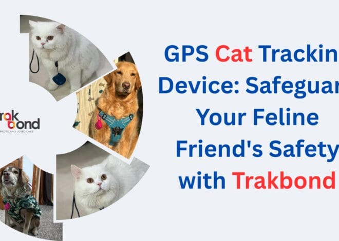 GPS Cat Tracking Device: Safeguard Your Feline Friend’s Safety with Trakbond