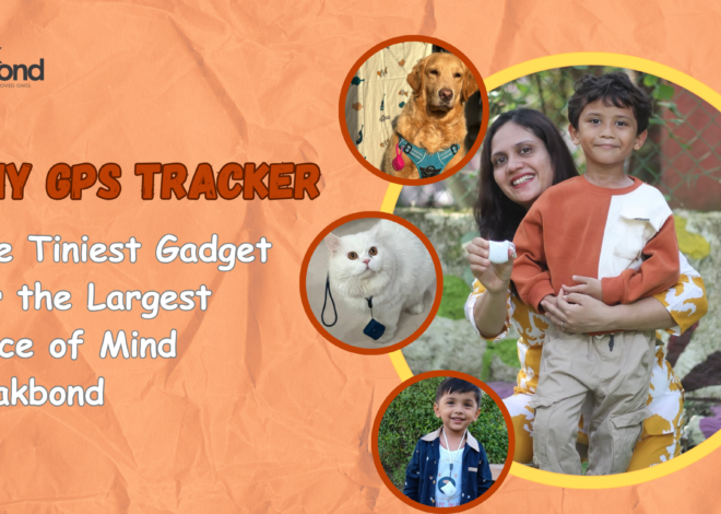 Tiny GPS Tracker: The Tiniest Gadget for the Largest Piece of Mind | Trakbond