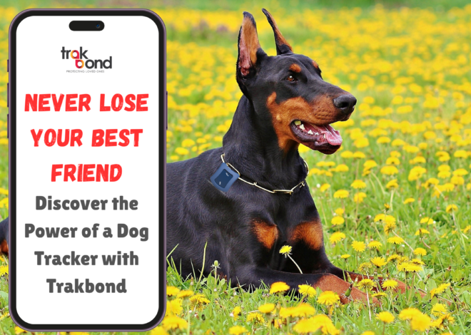 Never Lose Your Best Friend: Discover the Power of a Dog Tracker with Trakbond