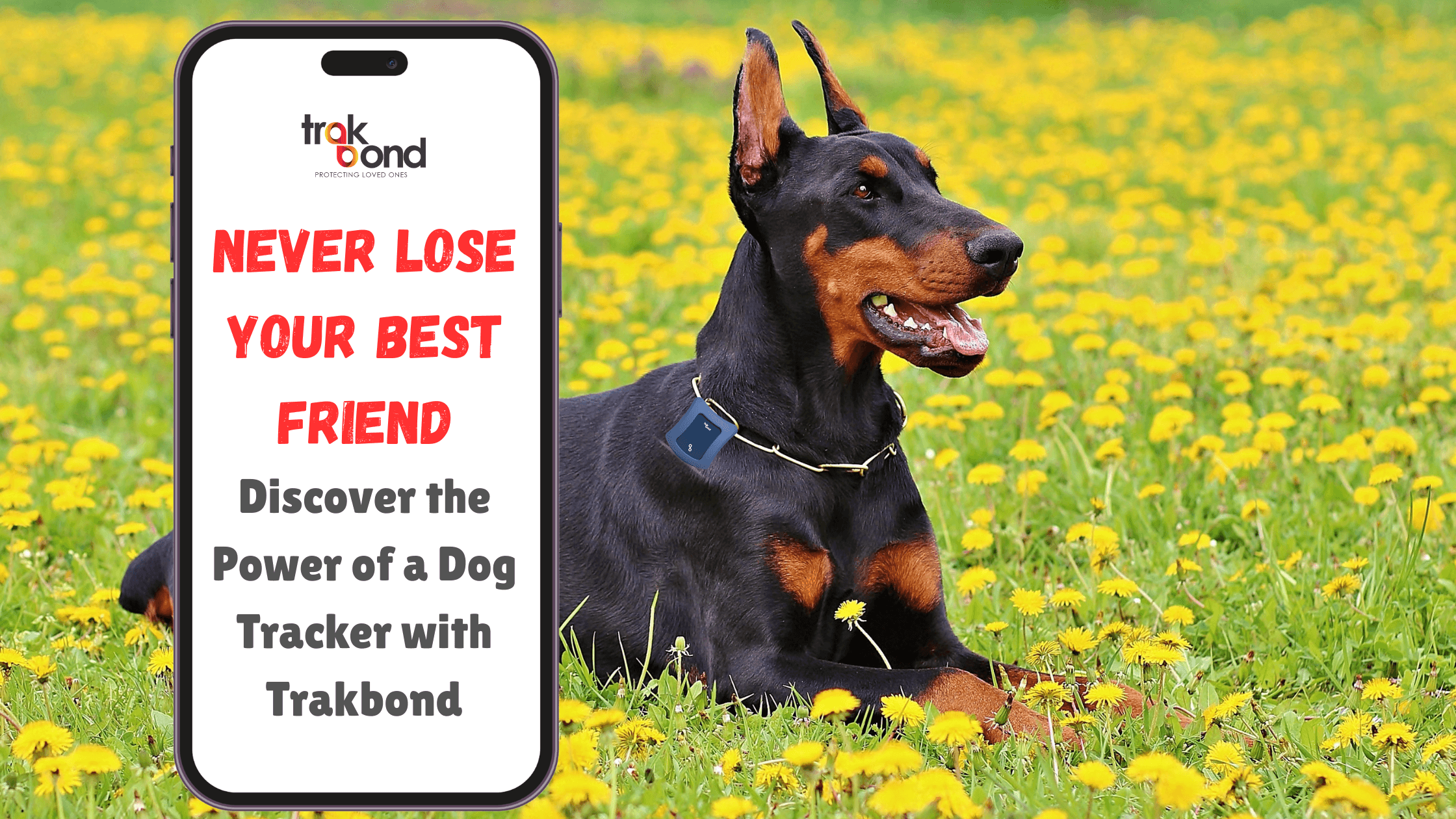 Never Lose Your Best Friend: Discover the Power of a Dog Tracker with Trakbond