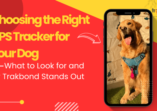 Choosing the Right GPS Tracker for Your Dog: What to Look for and Why Trakbond Stands Out