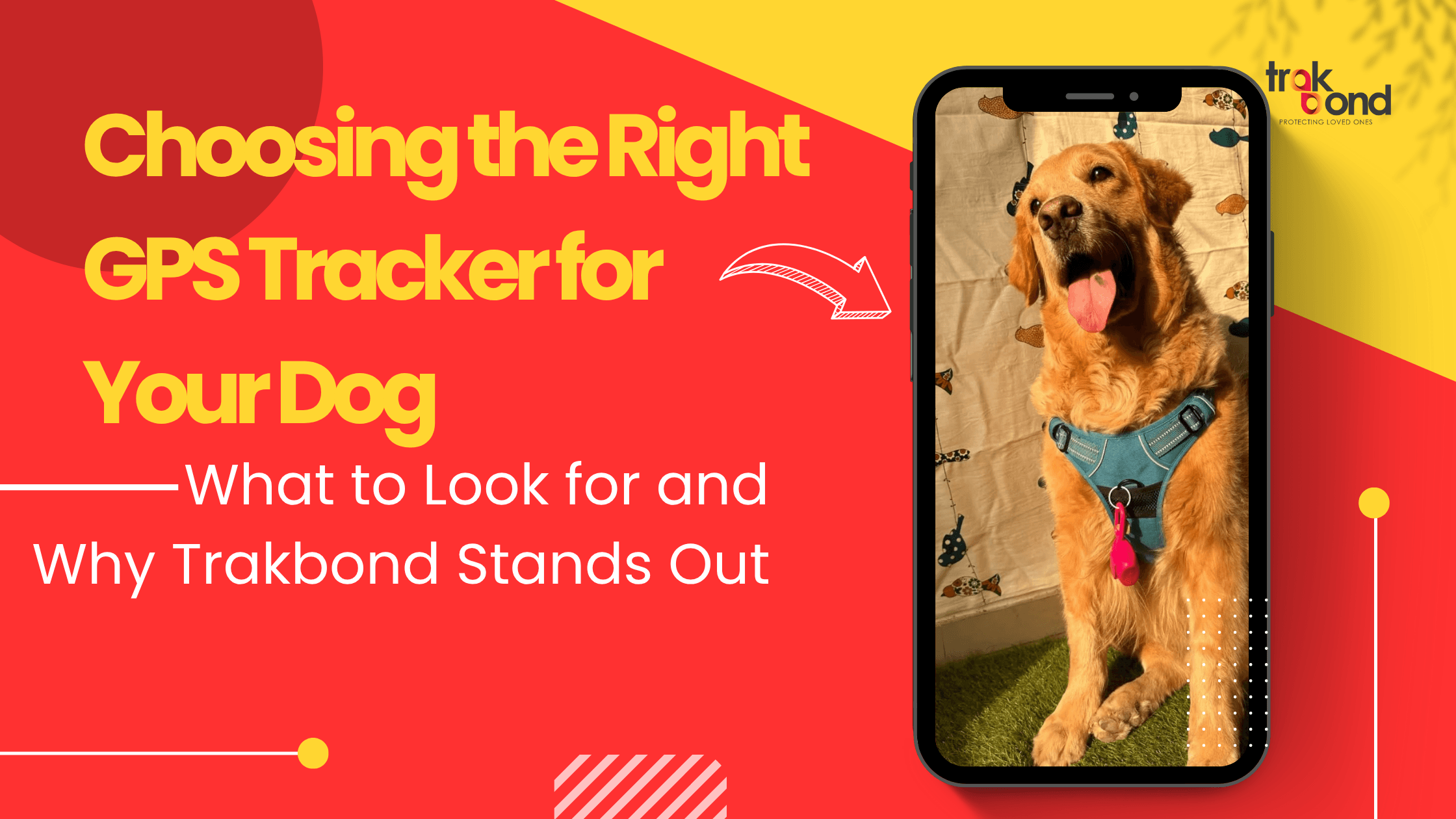 Choosing the Right GPS Tracker for Your Dog: What to Look for and Why Trakbond Stands Out