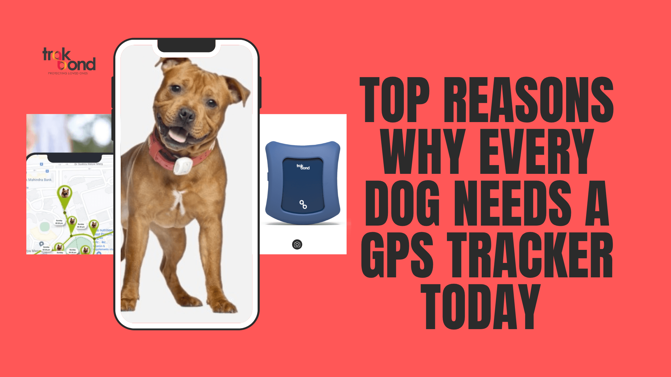 Top Reasons Why Every Dog Needs a GPS Tracker Today – Powered by Trakbond