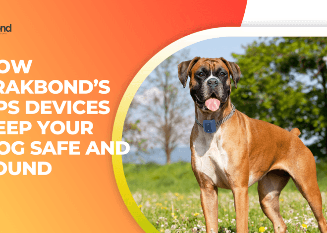 How Trakbond’s GPS Devices Keep Your Dog Safe and Sound