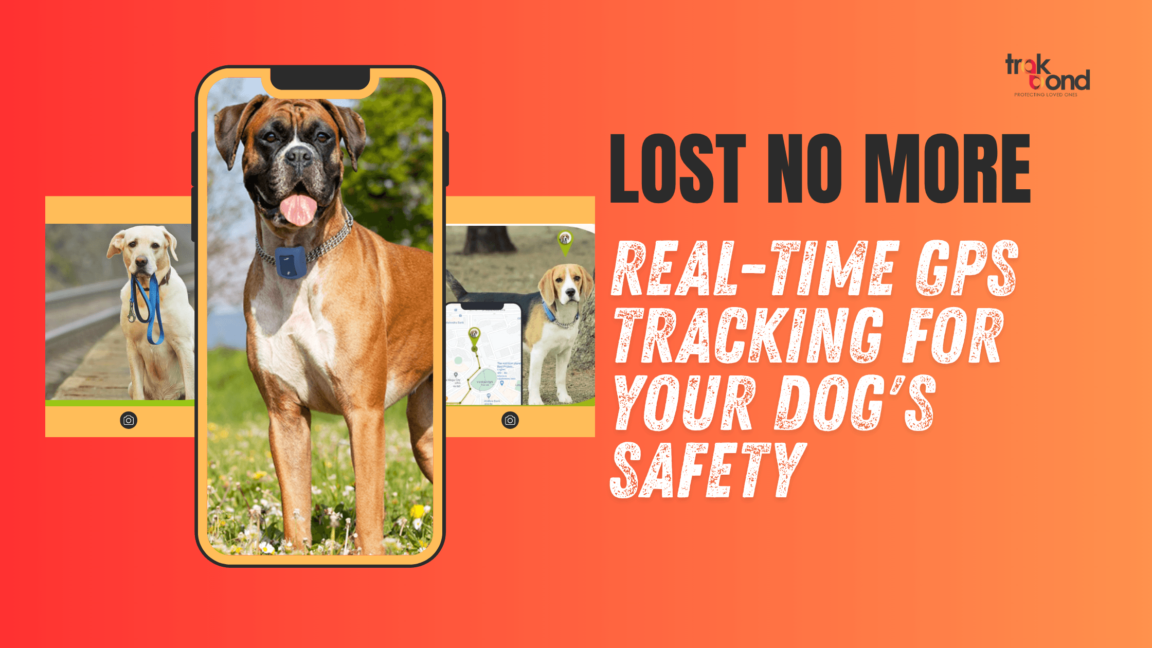 Lost No More: Real-Time GPS Tracking for Your Dog’s Safety