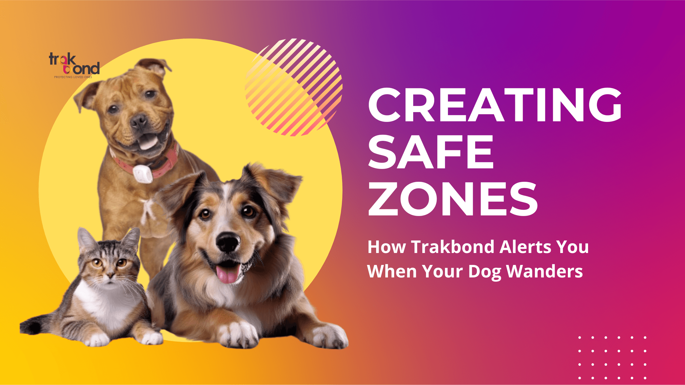 Creating Safe Zones: How Trakbond Alerts You When Your Dog Wanders