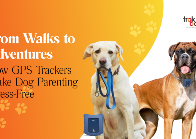 From Walks to Adventures: How GPS Trackers Make Dog Parenting Stress-Free